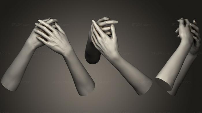 Анатомия скелеты и черепа (Женские руки 7, ANTM_0478) 3D модель для ЧПУ станка